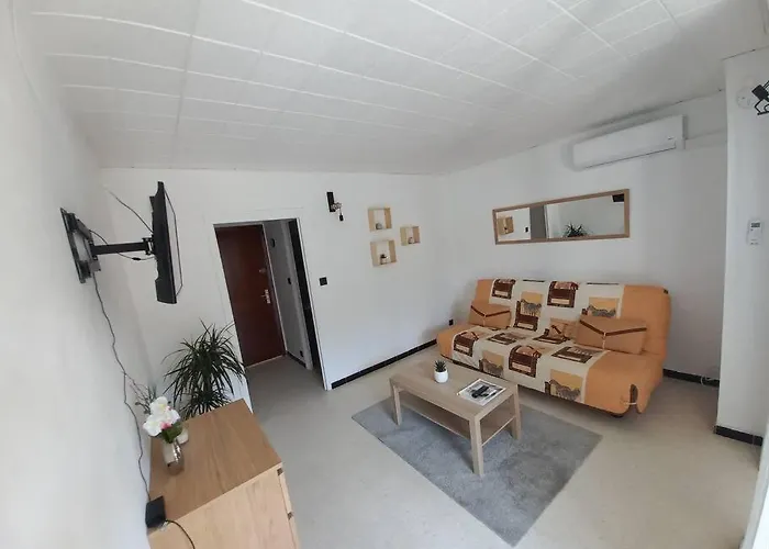 Studio Parking Prive Climatisation Plage Proche